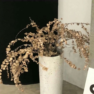 Furry插画细节提升技巧福瑞交流群